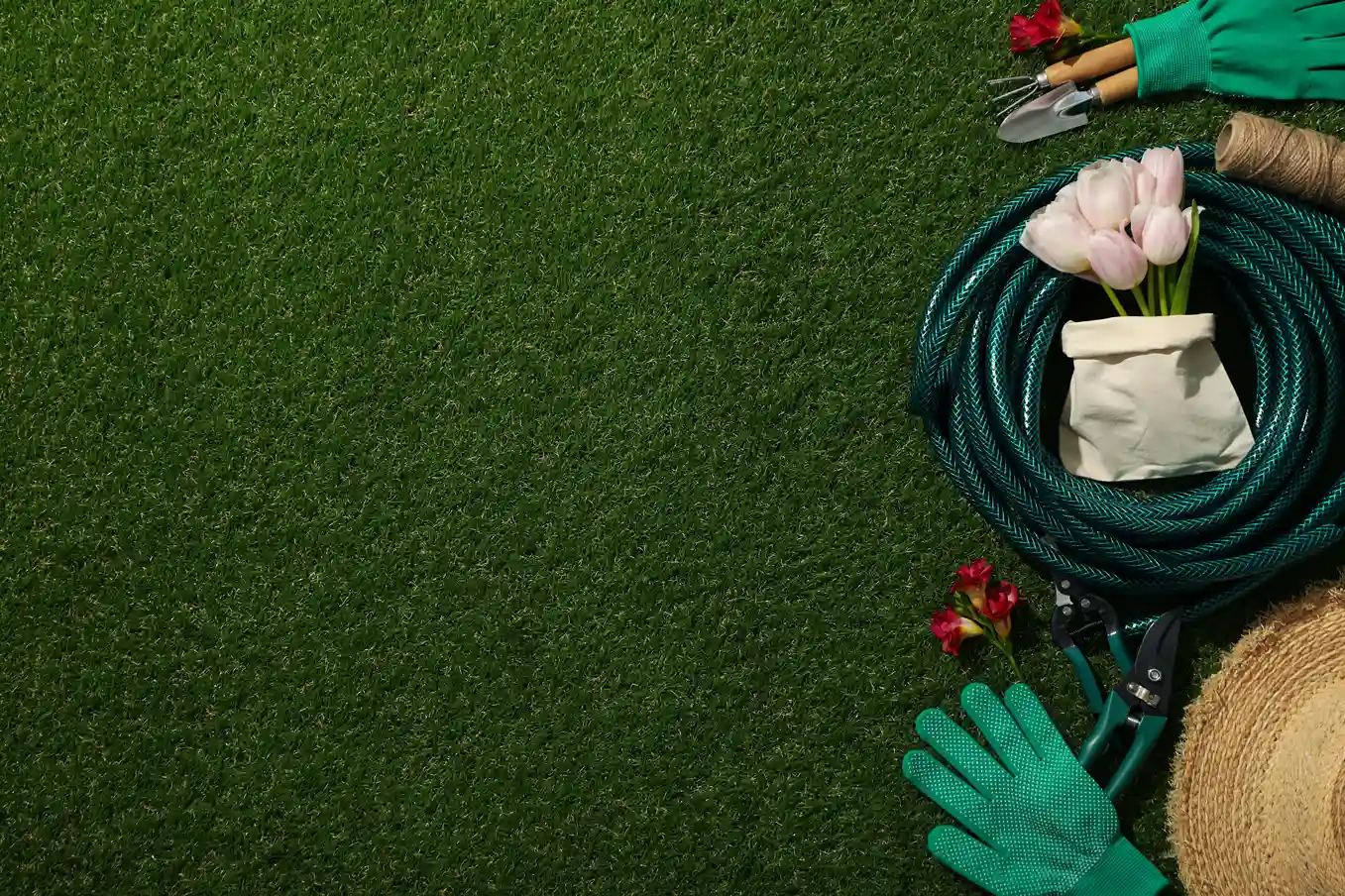 Difference Between Lawn Care and Lawn Maintenance