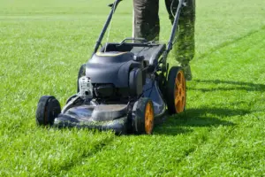 A person working on lawn care and lawn maintenance.