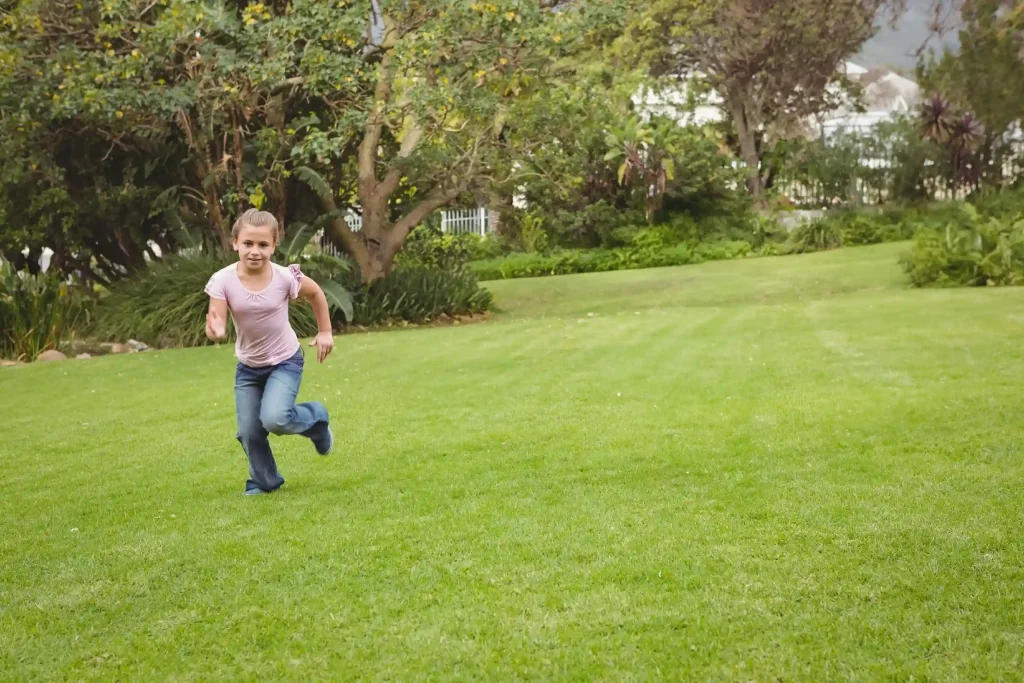 Keep Your Lawn Pest-Free in Vancouver