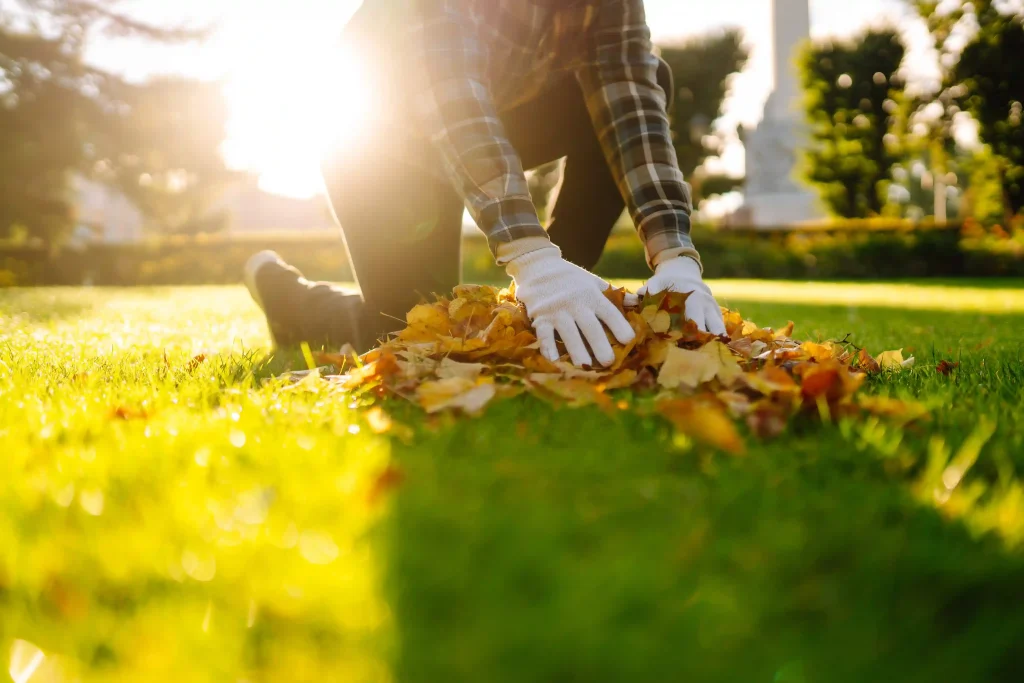 Fall Lawn Maintenance