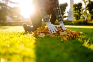 Read more about the article Fall Lawn Maintenance Checklist for Vancouver Homeowners