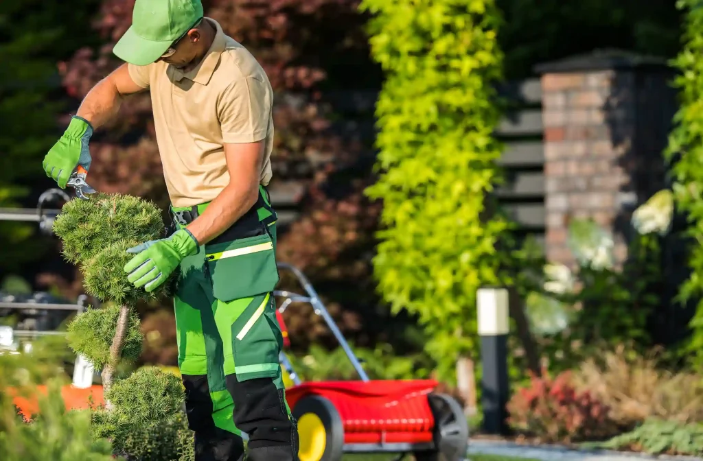 Lawn Care Service Provider Companies