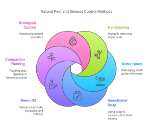 How to Control Pests and Diseases of Plants