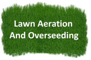 the best time to aerate and overseeding lawn in Vancouver