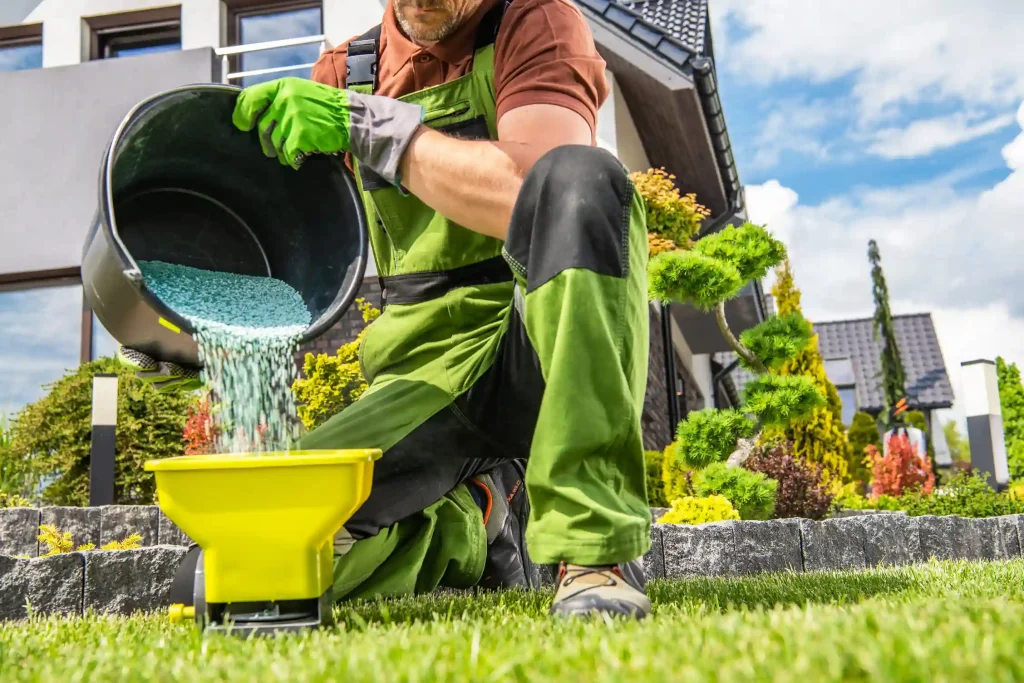 Fertilize Your Lawn in Vancouver