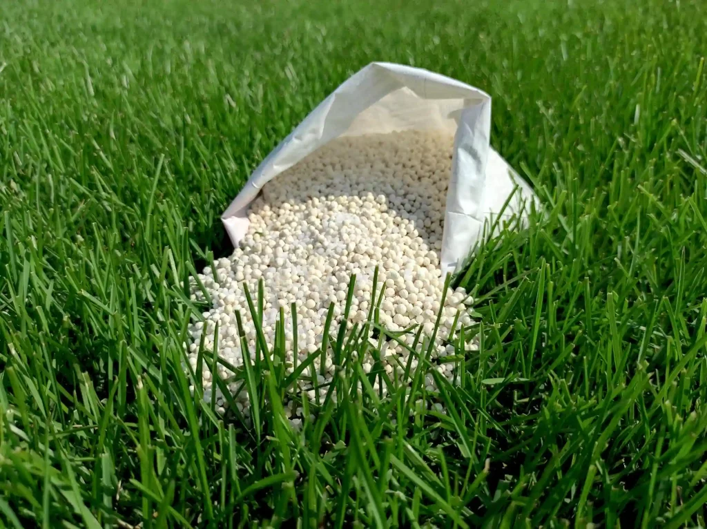 Best Fertilizer for Grass in the Summer