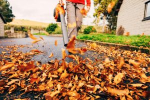 DIY vs. Professional Leaf Removal: Costs & Benefits - 2025 Guide