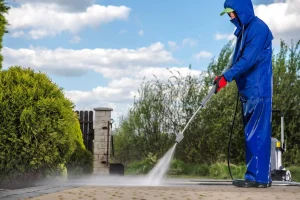 Best Pressure Washing Solutions for Wood Surfaces in BC