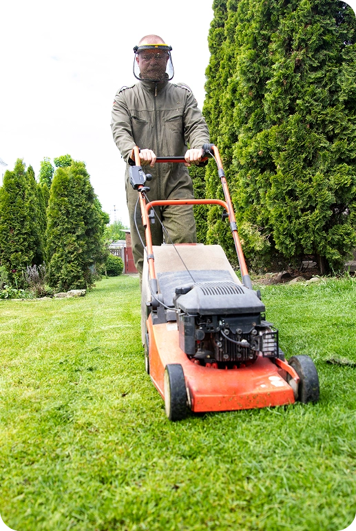 Lawn mover on green grass machine for cutting 2026