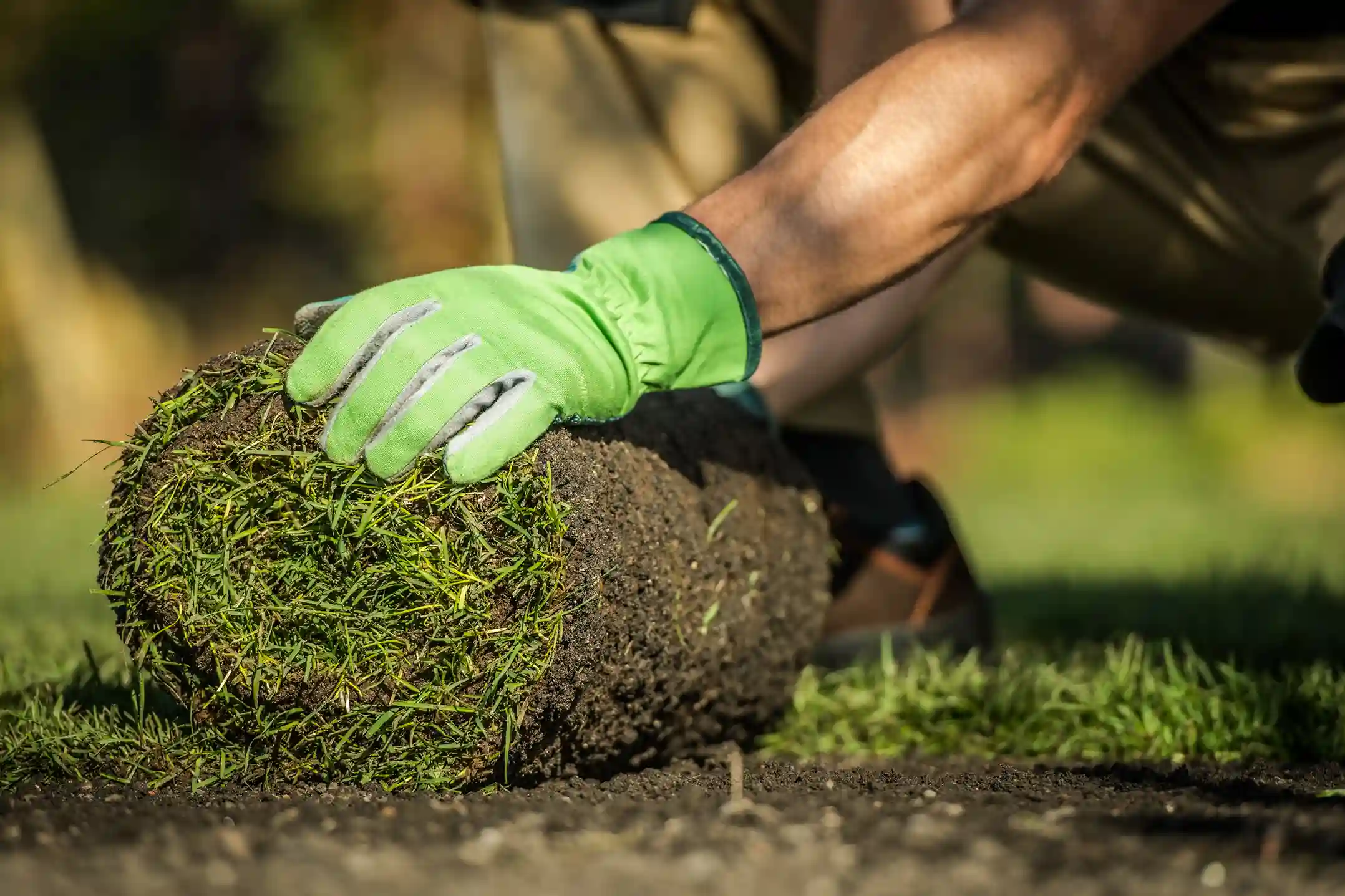 Sod Grass Installation: How to Prepare Your Soil for Instant Success