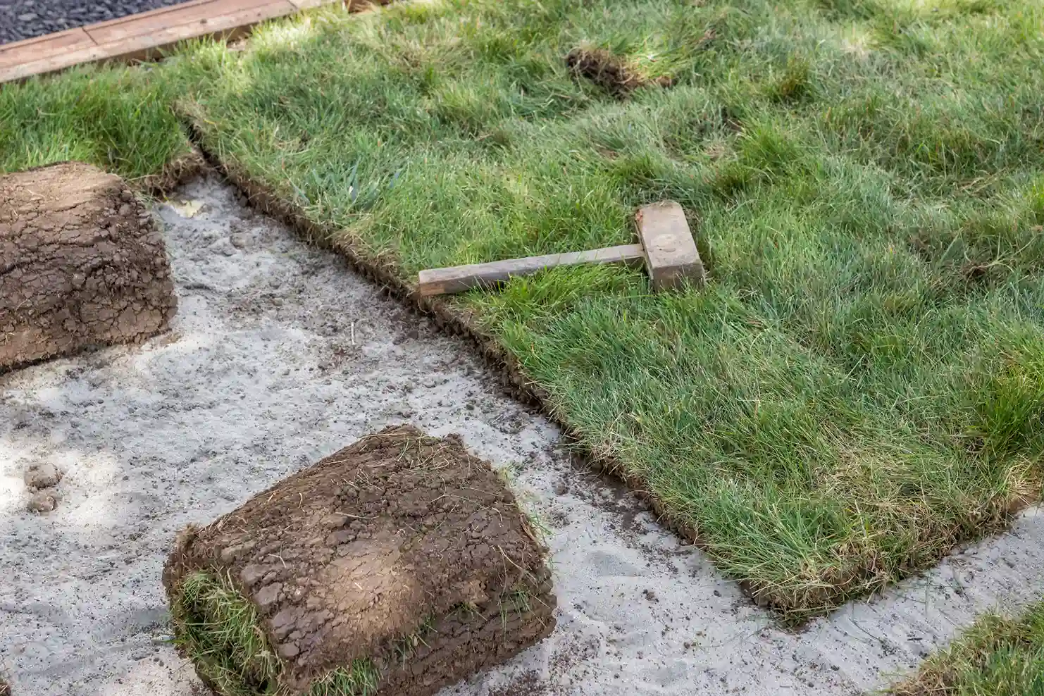 Mistakes to Avoid During Sod Installation and Maintenance