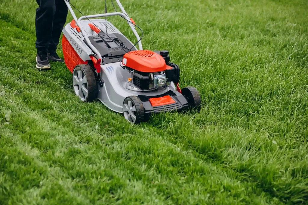 How to Maintain a Perfect Lawn in White Rock, BC: Expert Mowing Tips All Year Long