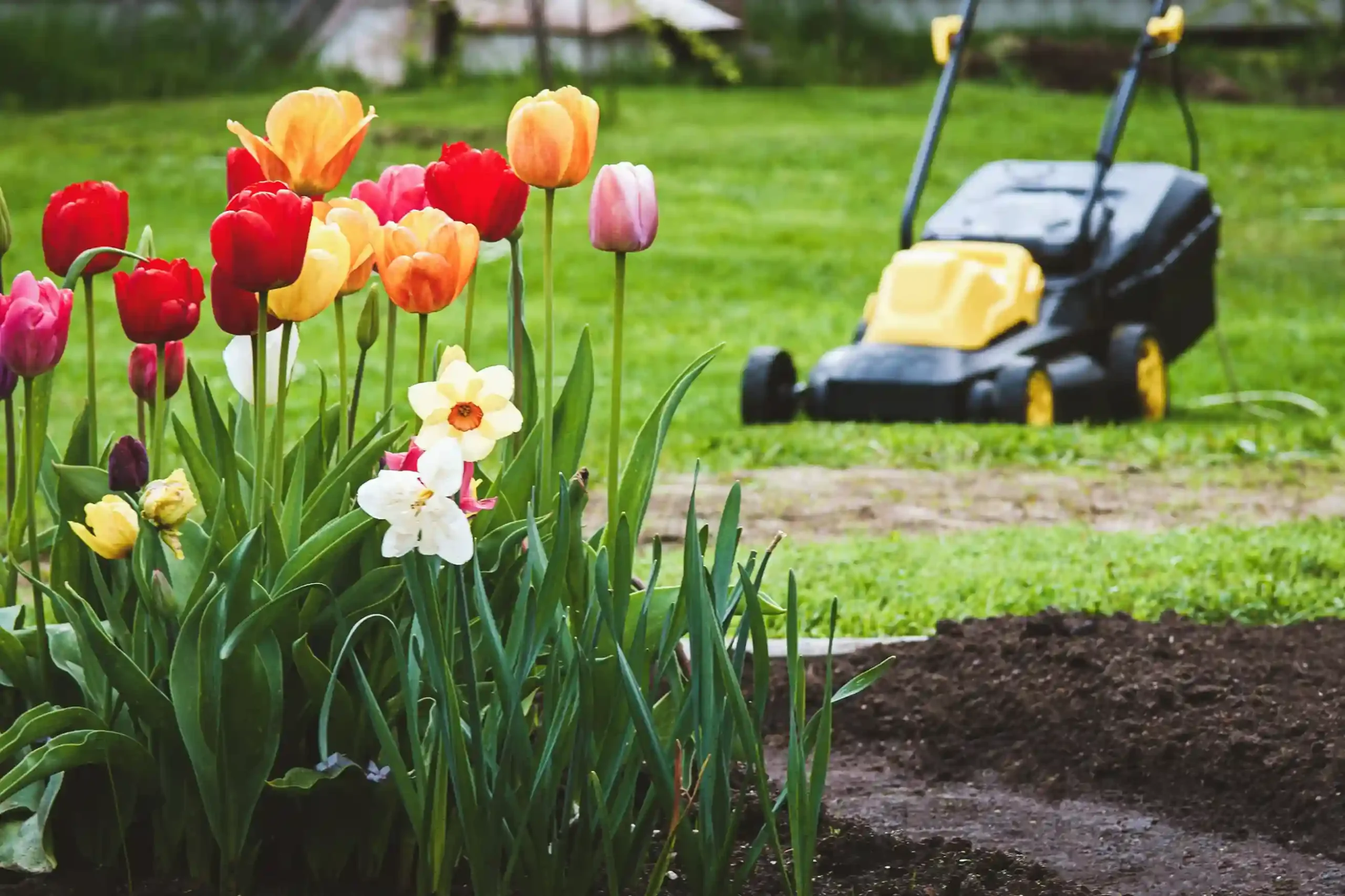 Lawn Gardening and Flower Bed Guide: Planning, Planting & Seasonal Care