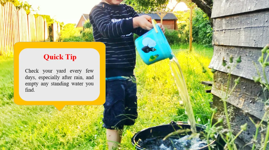Remove Standing Water. quick tip