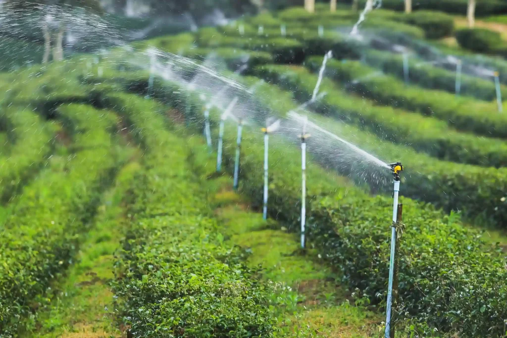 How to Prepare Your Irrigation System for the Winter Season in Vancouver, BC?