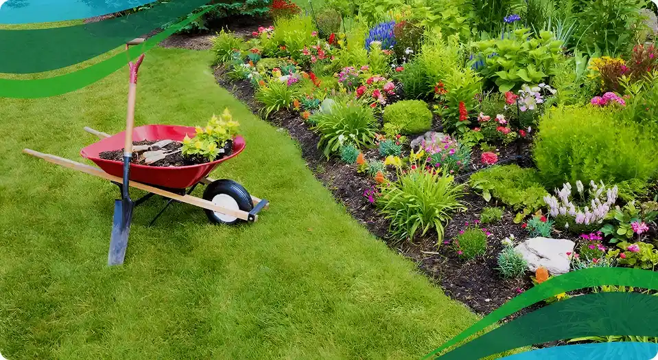 Seasonal Guide: Essential Steps for Spring and Fall Lawn Care