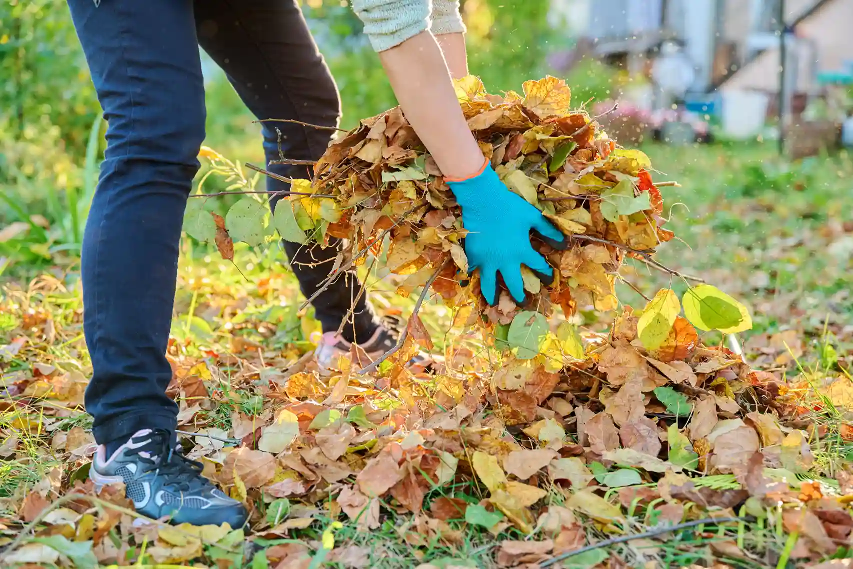 Avoid These Common Mistakes During Fall Yard Cleanup