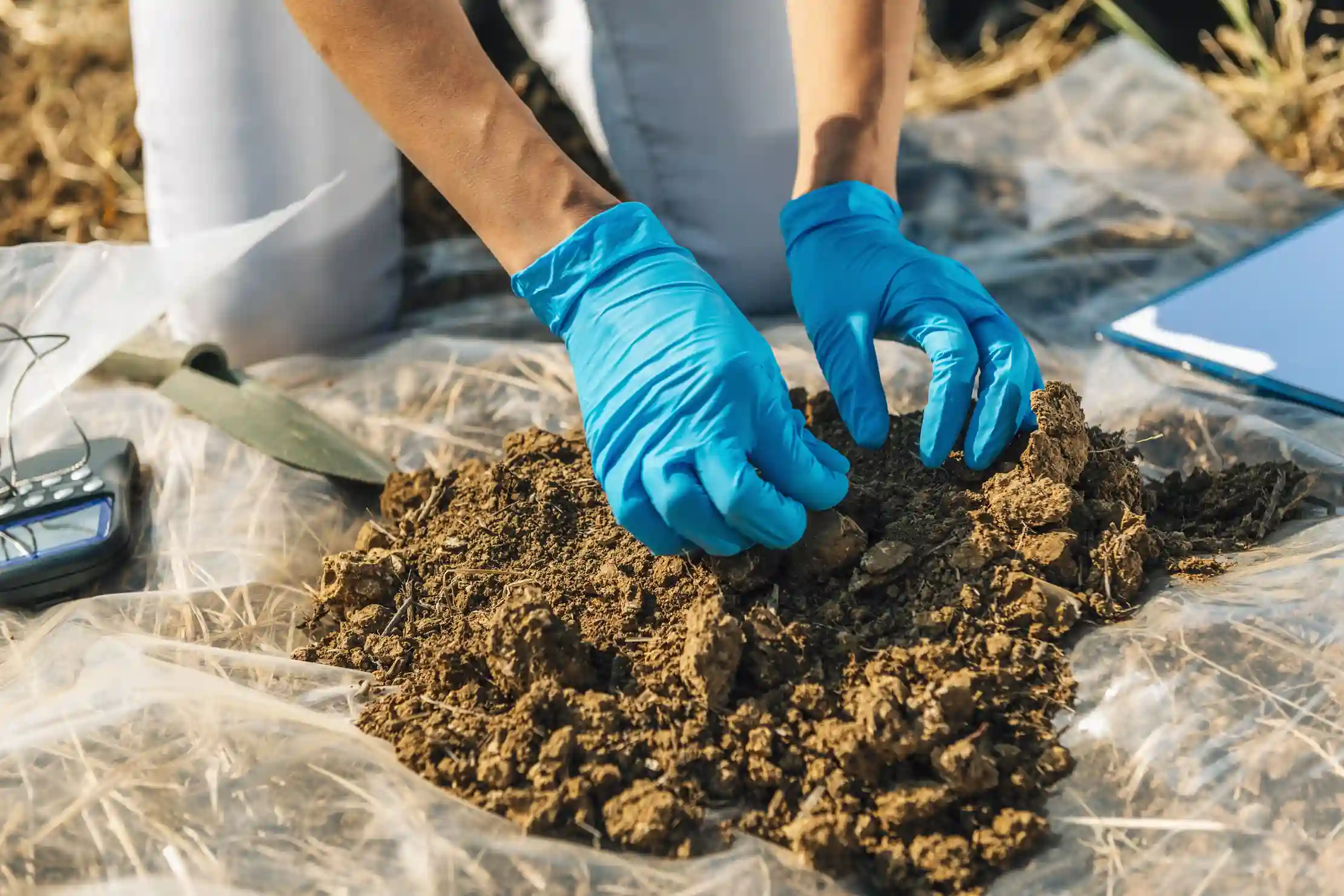 Amending Clay Soil: How to Turn Hard Earth into a Lush Garden