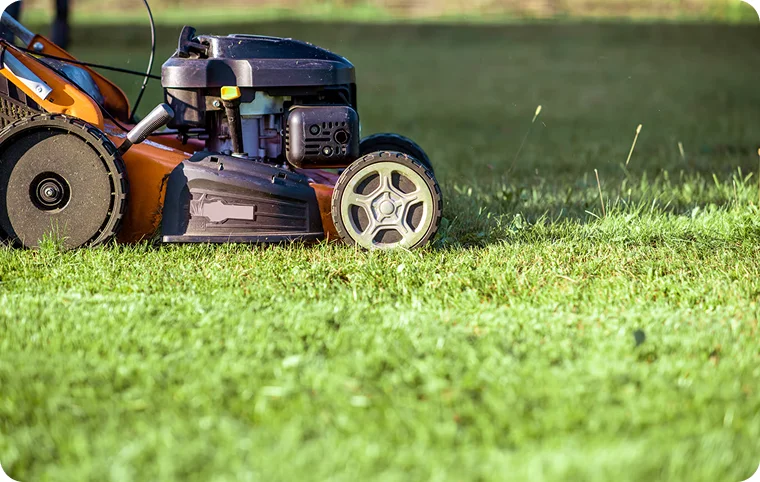 Lawn Care Maintenance