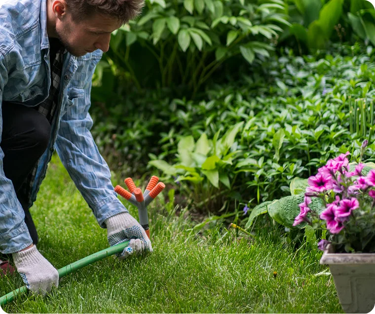 Lawn Restoration