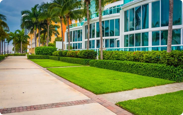 Crisp lawn edges along a walkway by a glass office building for West End Vancouver lawn mowing