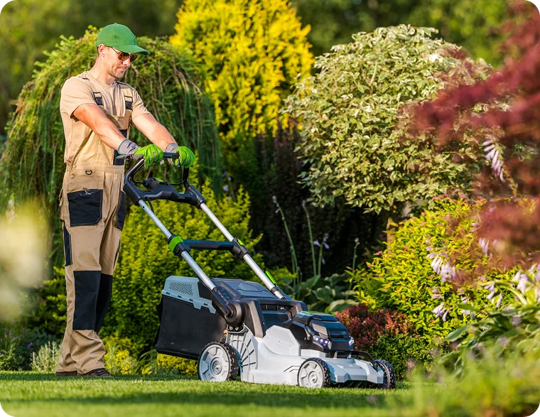 Gardener guiding a mower between colourful shrubs for West End Vancouver lawn mowing