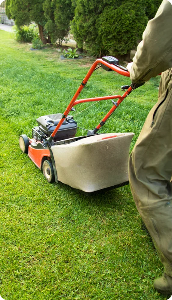 Worker pushing an orange mower with a grass bag for West End Vancouver lawn mowing