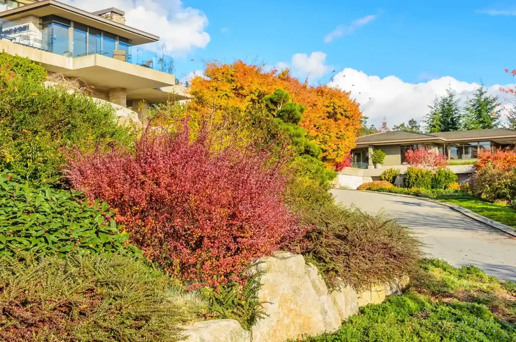 Fall Landscape Maintenance for Strata Properties in Metro Vancouver: Leaf Management, Drainage and Common-Area Safety