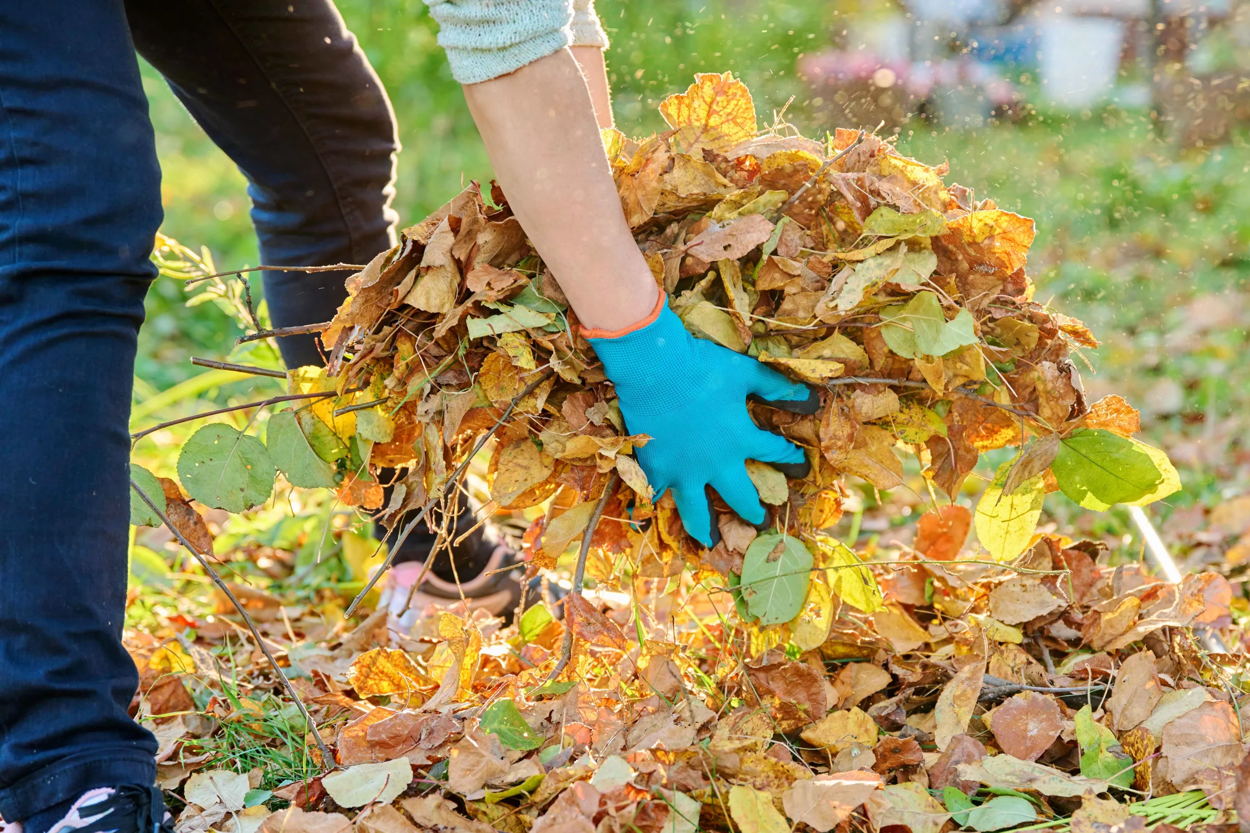 Commercial Fall Cleanup Checklist for Vancouver Property Managers: What to Schedule Before the Rains