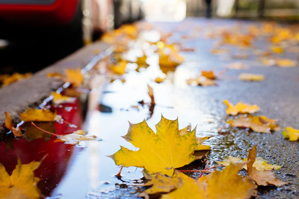 Wet Leaves and Slip-and-Fall Risk: A Vancouver Commercial Owner's Guide to Fall Liability Under BC's Occupiers Liability Act