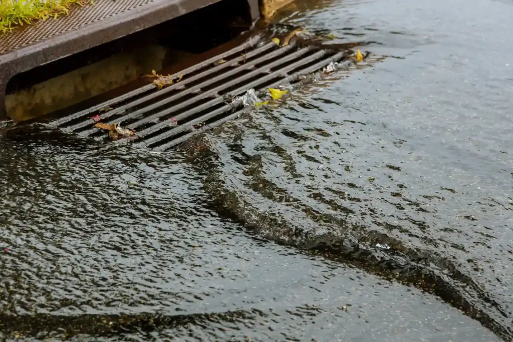 Clogged Catch Basins and Storm Drains: Why Fall Leaf Buildup Floods Vancouver Commercial Lots and How to Prevent It
