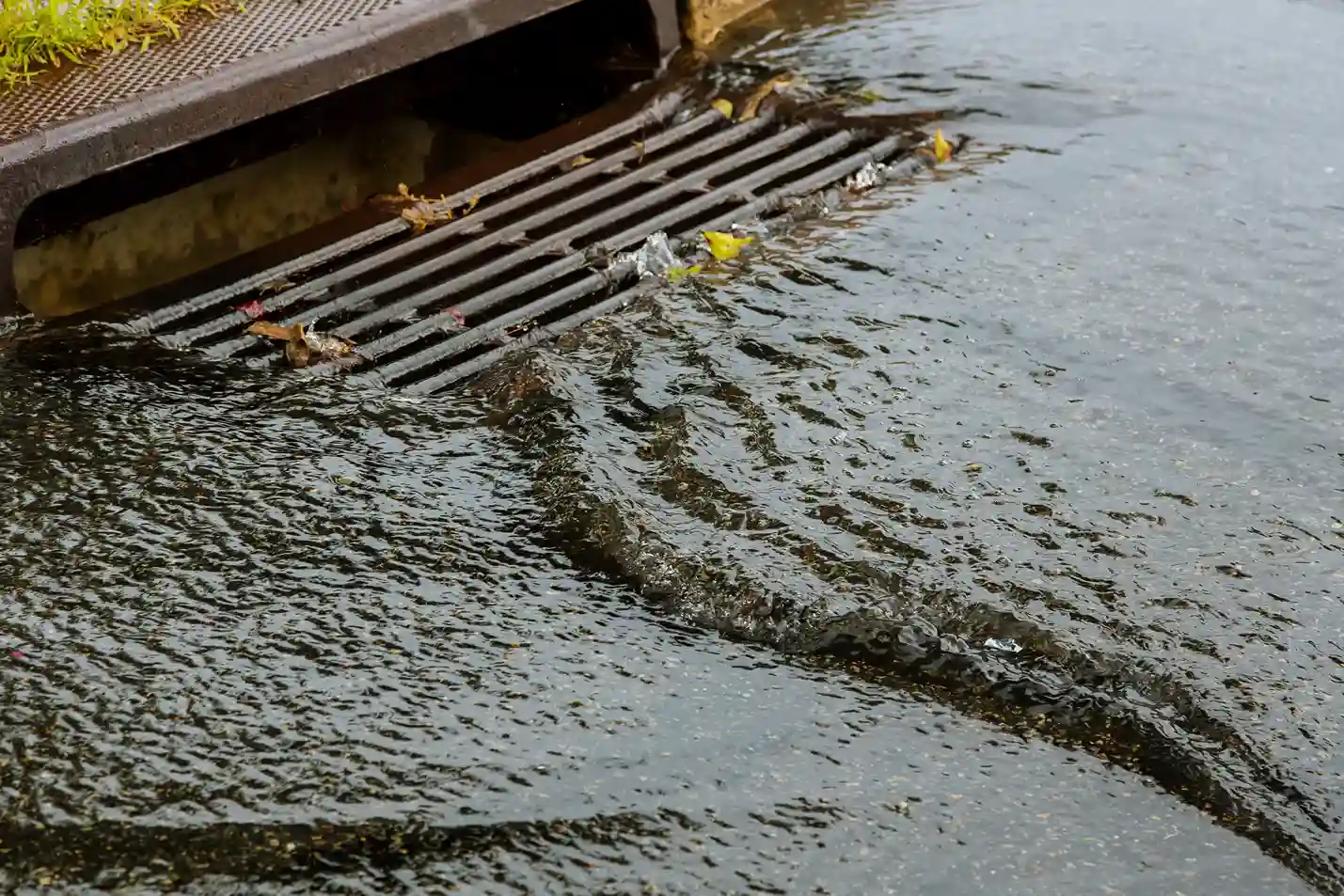 Clogged Catch Basins and Storm Drains: Why Fall Leaf Buildup Floods Vancouver Commercial Lots and How to Prevent It