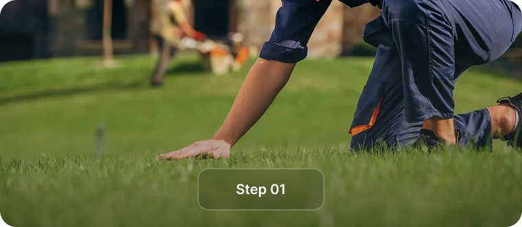 Lawn technician crouching to inspect the grass, step 1 of property lawn care in Vancouver