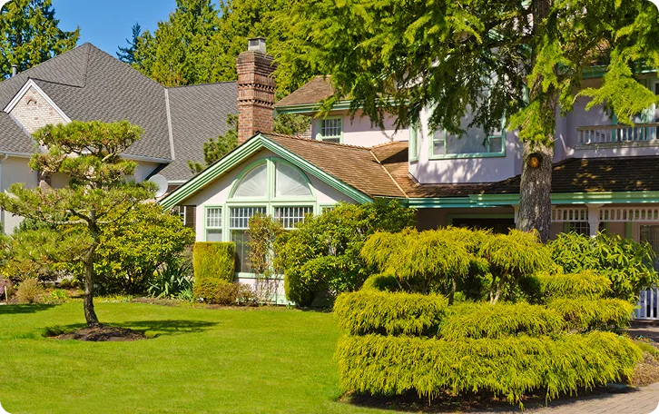 Cloud-pruned shrubs and a manicured front lawn showing property lawn care in Vancouver
