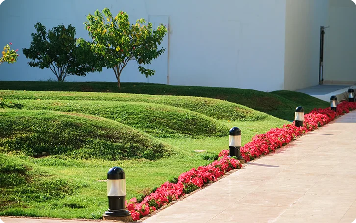 Sculpted lawn mounds beside a walkway lined with red flowers, absentee landlord lawn care in Vancouver