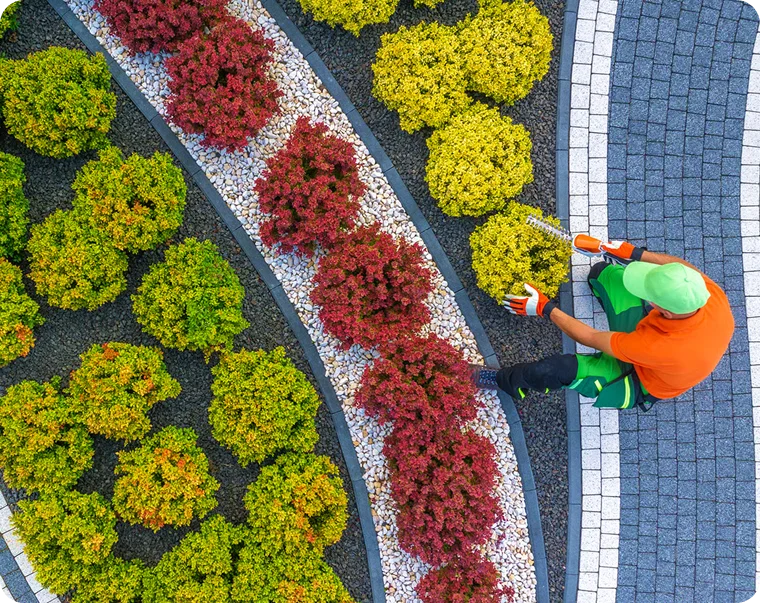 Aerial view of a gardener tending red and yellow shrub beds for rental property lawn care in Vancouver