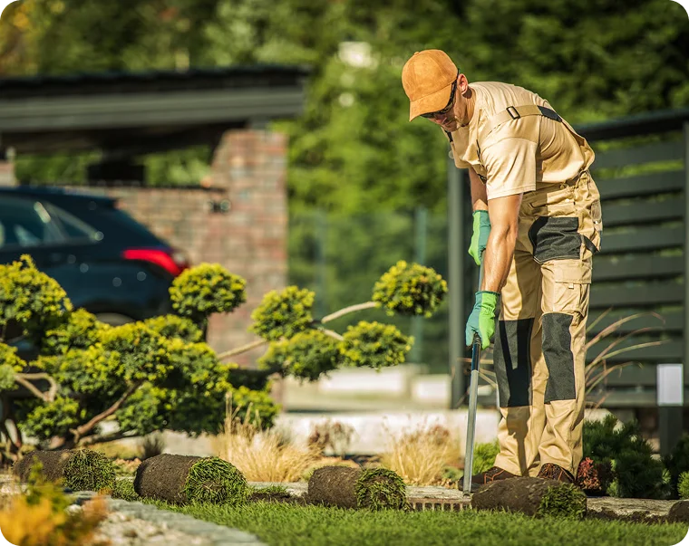 Gardener pruning cloud-shaped shrubs in a front yard for rental property lawn care in Vancouver