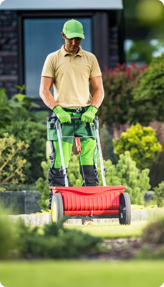 Gardener pushing a red fertilizer spreader across a lawn for strata lawn care in Vancouver