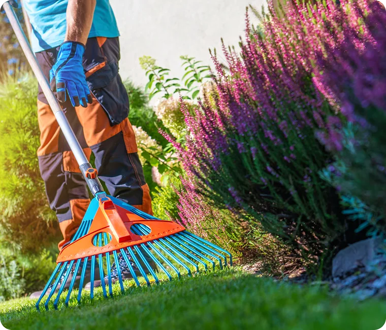 Worker using a fan rake beside purple flowers for lawn care for multi-unit apartment buildings in Vancouver