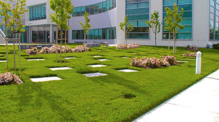 Preparing Commercial Landscapes for Vancouver's Wet Winter: A Fall Service Plan for Retail Plazas and Office Parks