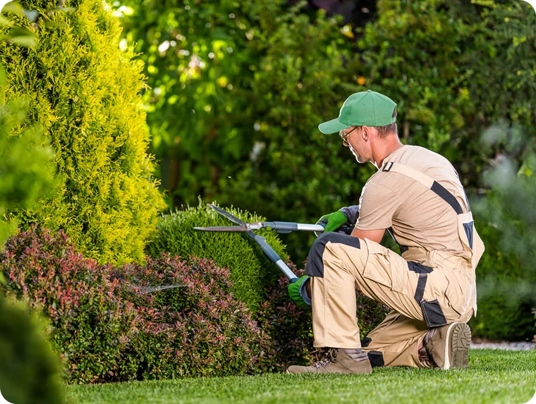 Affordable Lawn Care Solutions for Retirement Homes